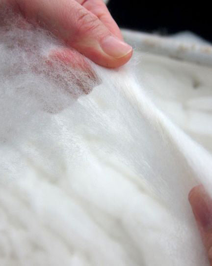 Ovcio Cashmere