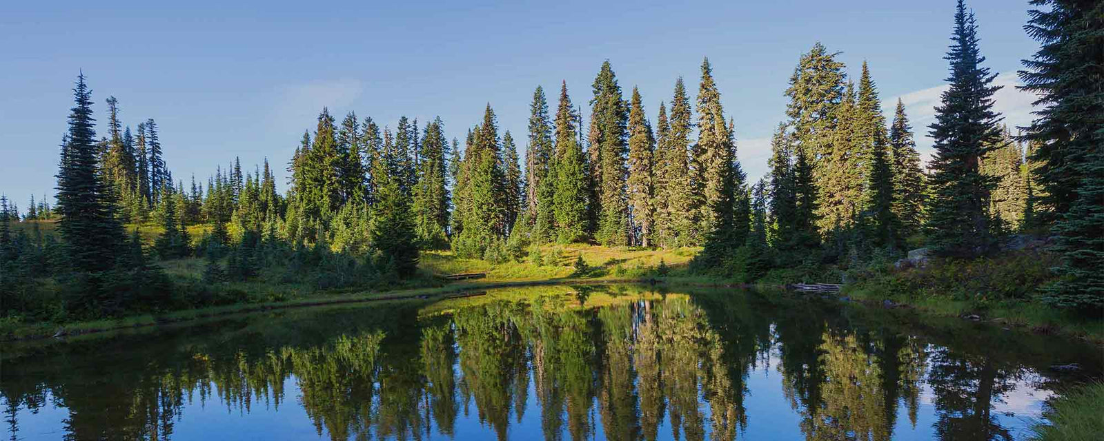 Ovcio sustainability