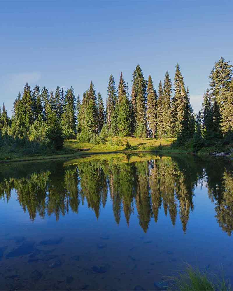 Ovcio sustainability