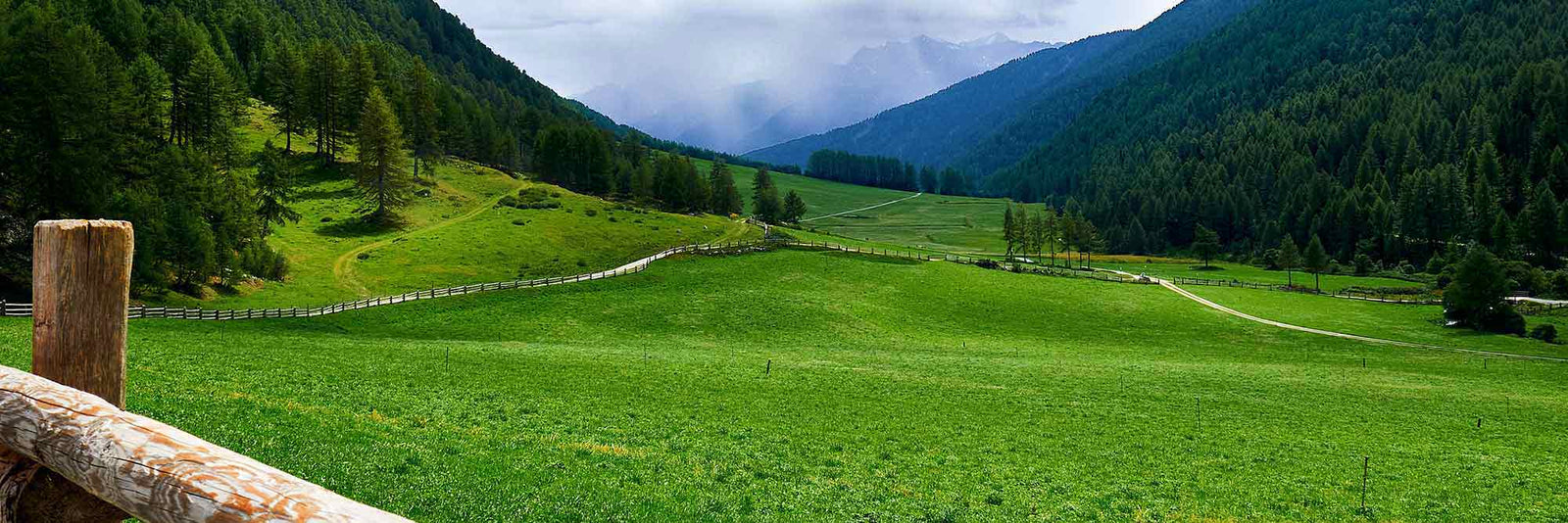 Ovcio sustainability